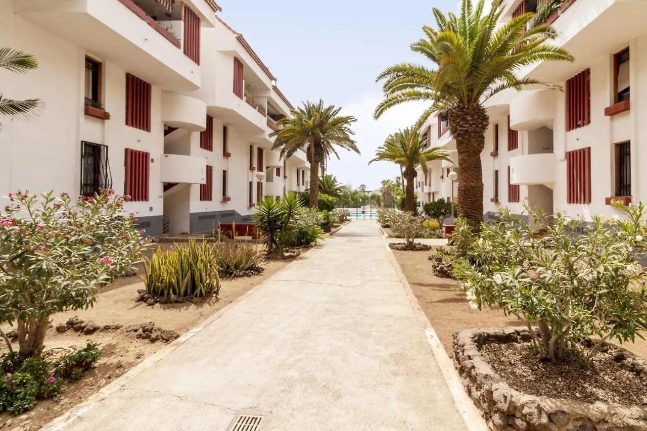 ארונה Homeforguest New Modern Apartment With Pool